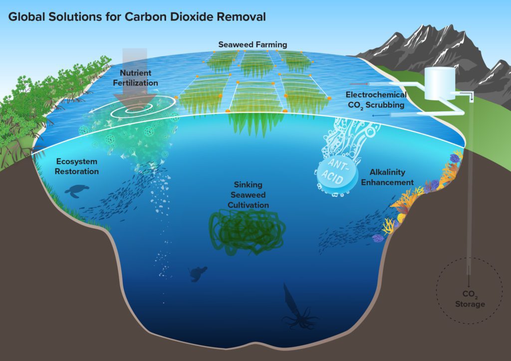 Illustration showing solutions for carbon dioxide removal